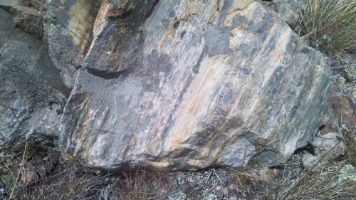 Гигантские зелёные валуны для ландшафтного дизайна весом более 5 тонн купить в Кумертау